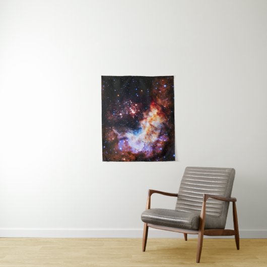 Westerlund 2 Small Wandkleed (In situ)