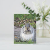 Westerly, Briefkaart Rhode Island (Staand voorkant)