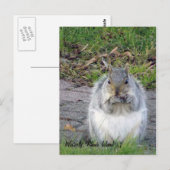 Westerly, Briefkaart Rhode Island (Voorkant / Achterkant)