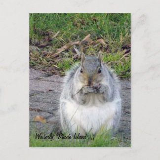 Westerly, Briefkaart Rhode Island