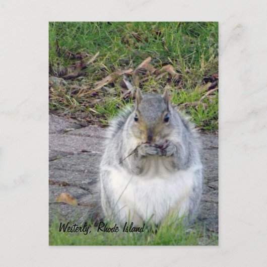 Westerly, Briefkaart Rhode Island (Voorkant)