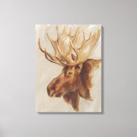Western Amerikaans dieronderzoek | Moose Portret