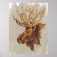 Western Amerikaans dieronderzoek | Moose Portret