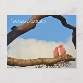 Western Australia Birds Feestdagenkaart