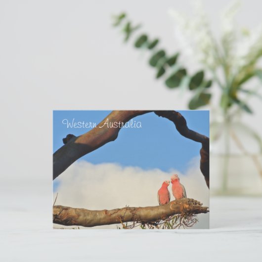Western Australia Birds Feestdagenkaart (Staand voorkant)