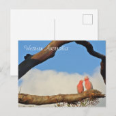 Western Australia Birds Feestdagenkaart (Voorkant / Achterkant)