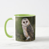 Western Barn Owl Mug Mok (Links)