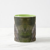 Western Barn Owl Mug Mok (Midden)