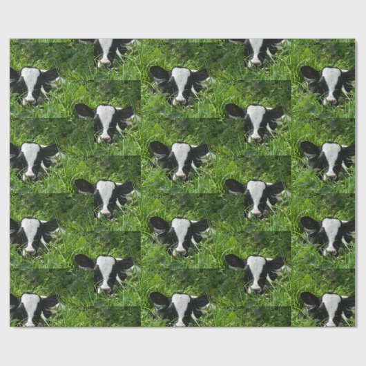 Western Boerderij Ranch Holstein Calf in gras Cadeaupapier (Vlak)