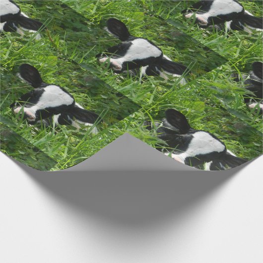 Western Boerderij Ranch Holstein Calf in gras Cadeaupapier (Hoek)