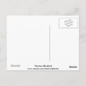 Western Briefkaart Blauwvogel 3 (Achterkant)