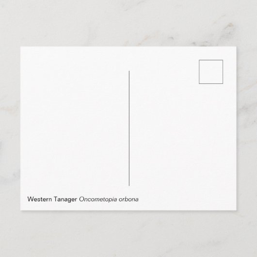 Western Briefkaart Tanager (Achterkant)