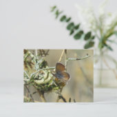 Western Briefkaart van de blauwe vlinder (Staand voorkant)