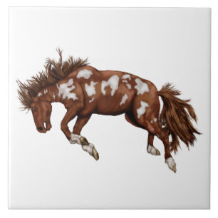 Western Bronco Tegeltje