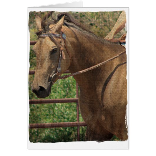 Western Buckskin Horse (Voorkant)