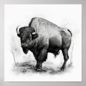 Western Buffalo Art Print Poster (Voorkant)