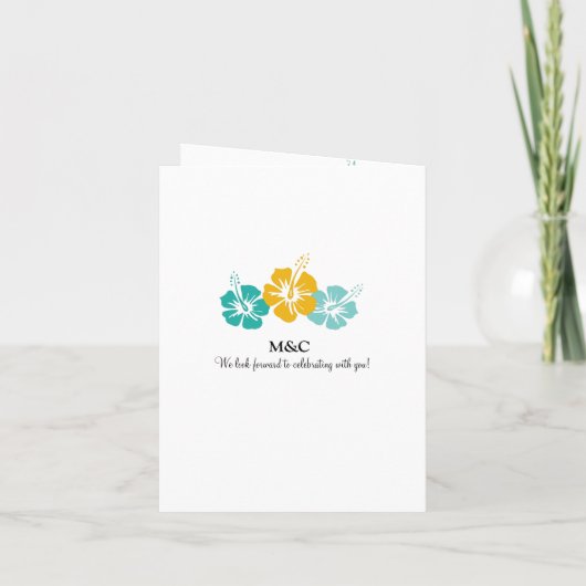 Western Caraïbisch kruisingspaspoort (Achterkant)