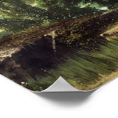 western europe poster (Hoek)