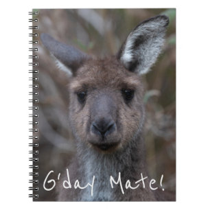Western grijs kangoeroe Australië Notitieboek