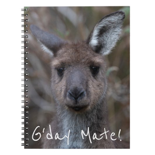 Western grijs kangoeroe Australië Notitieboek (Voorkant)