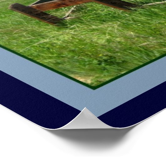 Western hek Foto Poster door gretchen (Hoek)