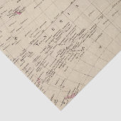 Western Hemisphere 2 Tissuepapier (Detail)