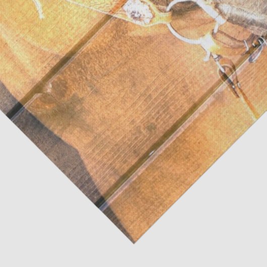 Western Hoefijzer van paardenwagon Cowboy Boots Tissuepapier (Detail)