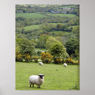 Western Ierland, Dingle Peninsula, breed Poster