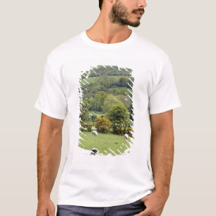 Western Ierland, Dingle Peninsula, breed T-shirt