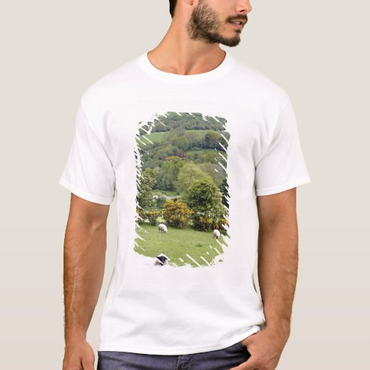 Western Ierland, Dingle Peninsula, breed T-shirt (Voorkant)