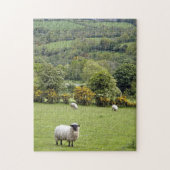 Western Ierland, Dingle Peninsula Legpuzzel (Verticaal)