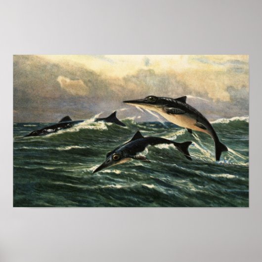 western interior seaway poster (Voorkant)