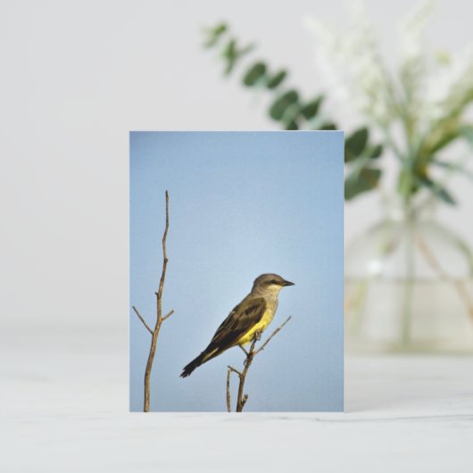 Western Kingbird Briefkaart (Staand voorkant)