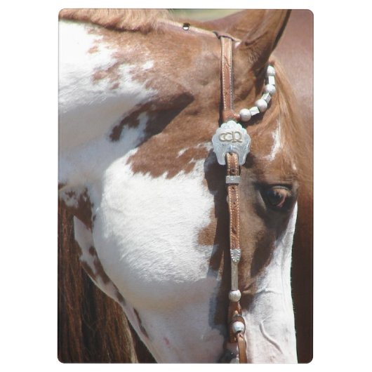 Western Klembord (Achterkant)