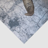 Western Koe Ontvlechtingspapier voor schedel Tissuepapier (Detail)