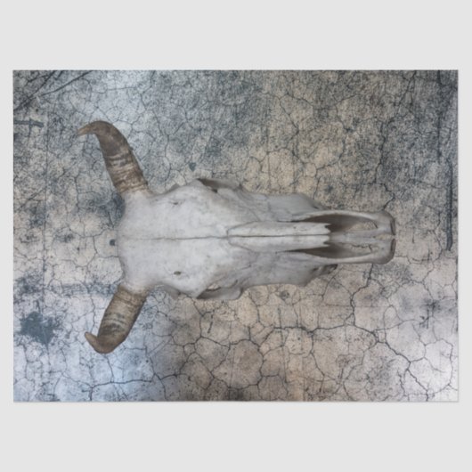 Western Koe Ontvlechtingspapier voor schedel Tissuepapier (Voorkant)