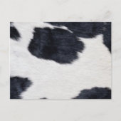 Western Koeienhuid zwart/wit afdrukken Briefkaart (Voorkant)