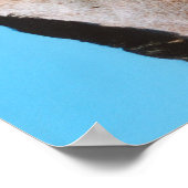 Western Kwart Paard Poster (Hoek)