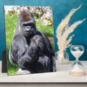 Western laagland gorilla's fotoplaat (Zijkant)