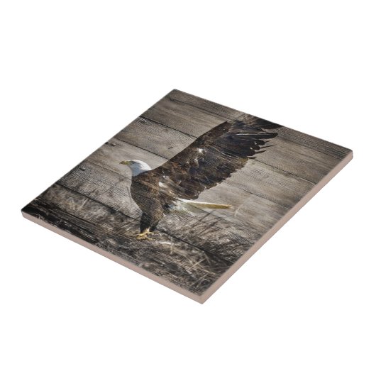 Western land Patriottic USA American Bald Eagle Tegeltje (Zijkant)