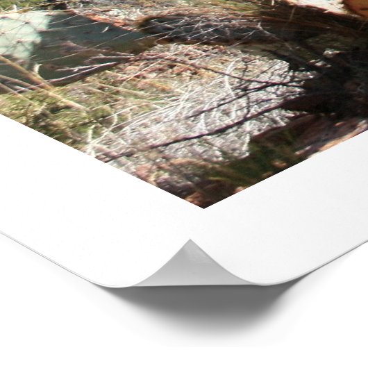 Western landschap poster (Hoek)