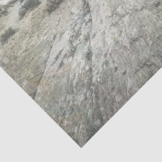 Western landschap tissuepapier (Detail)