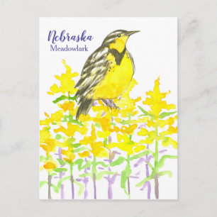 Western Meadowlark Bird Goldenrod Nebraska Briefkaart
