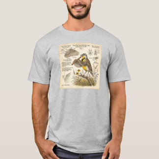 Western Meadowlark Playing Flute – Funny Bird  T-shirt
