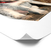 western ontwerp voor blauwe kaart poster (Hoek)