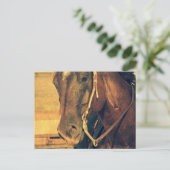 Western paard briefkaart (Staand voorkant)