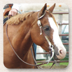 Western paard drankjes onderzetter