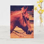 Western paard kaart (Gele Bloem)