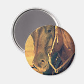 Western paard magneet (Voorkant / Achterkant)