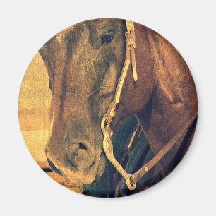 Western paard magneet